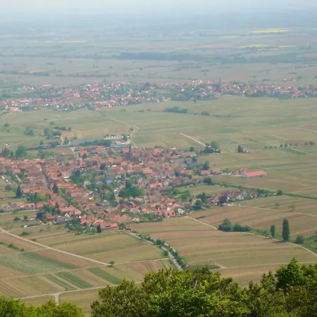 Phoenix Aus Der Asche Rhodt unter Rietburg Exterior photo
