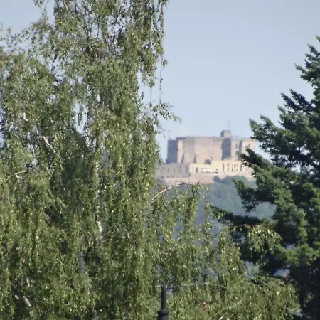 Phoenix Aus Der Asche Rhodt unter Rietburg Exterior photo