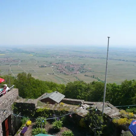 Phoenix Aus Der Asche Rhodt unter Rietburg Exterior photo