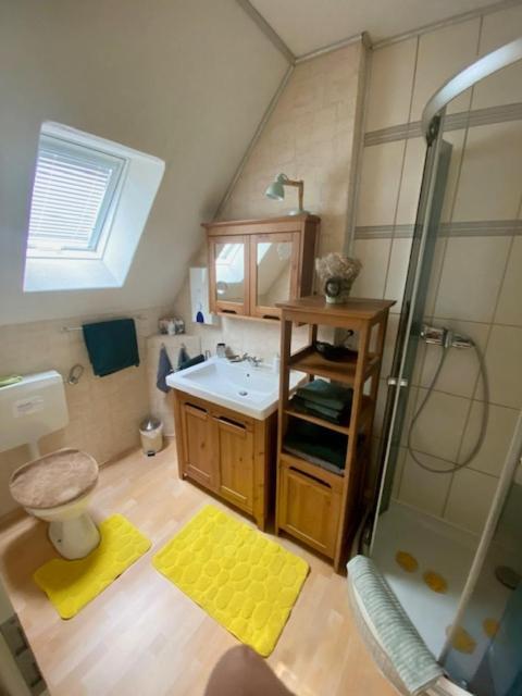 Apartment Phoenix Aus Der Asche